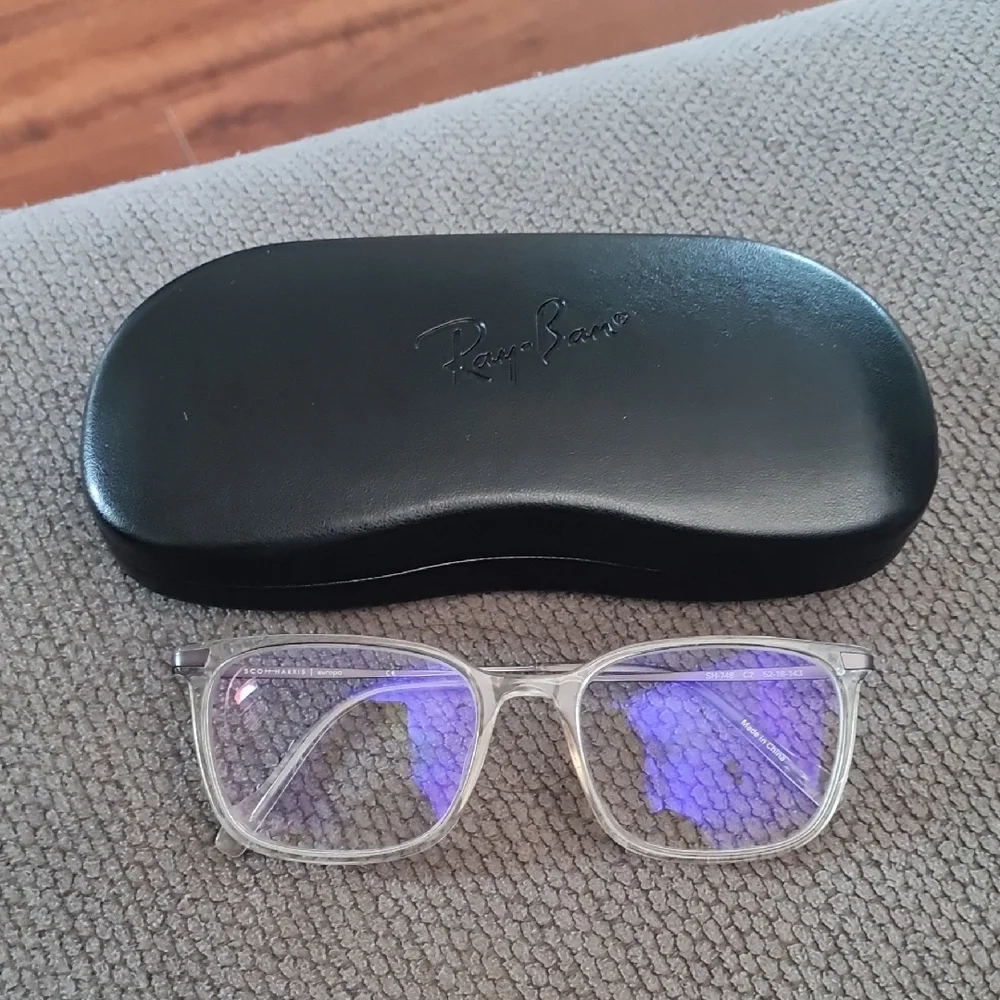 Scott-Harris Clear Frame Glasses with Black Ray-Ban Case